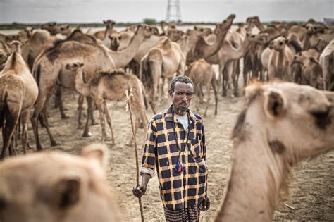 Climate, conflict, and COVID-19 crisis in Horn of Africa | Oxfam