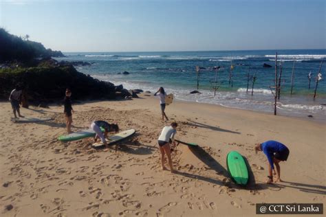 Surfing Lessons Weligama - Cross Country Travels Sri Lanka