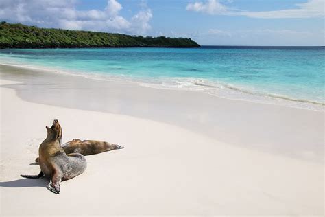 PARQUE NACIONAL GALÁPAGOS: 60 AÑOS PROTEGIENDO EL ARCHIPIÉLAGO MEJOR ...