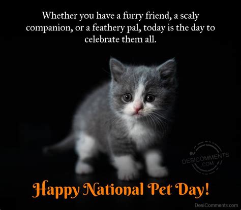 Happy National Pet Day Pic - DesiComments.com