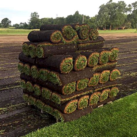 Order Sod Online: Pallet of Kentucky Bluegrass - Debucks Sod Farm MI.