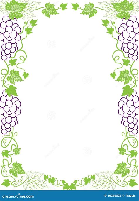 Grapes border stock illustration. Illustration of aristocratically ...