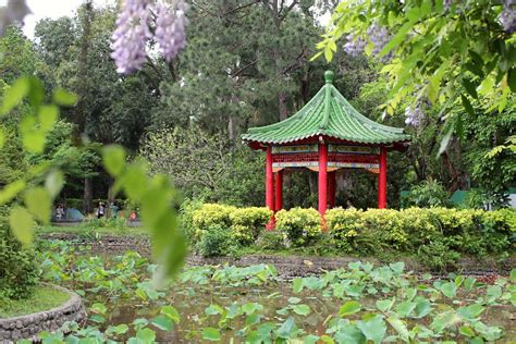 THE BOTANICAL GARDEN (Zhongzheng District) - All You Need to Know ...