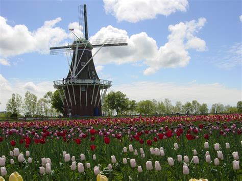 Windmill Island Gardens in Michigan - FineGardening