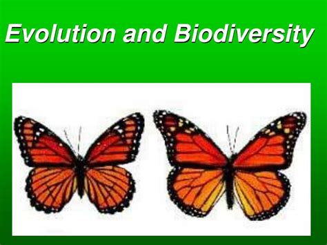 PPT - Evolution and Biodiversity PowerPoint Presentation, free download ...