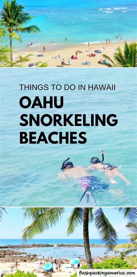 Best Oahu beach snorkeling spots from shore for beginners for your first time in Honolulu 🌴 Oahu ...