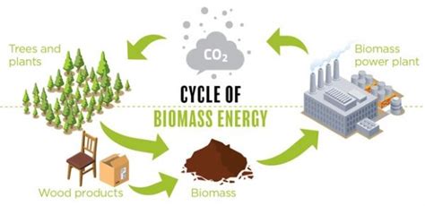 Biomass Energy – Civic Issues