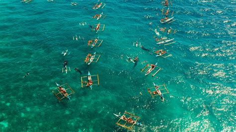 Premium Photo | Oslob whale shark watching in philippines cebu island