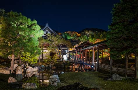 Kodai-ji Temple Info, Tips & Review - Travel Caffeine