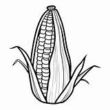 100  Maize Coloring Pages For Free • Lulu sketch template