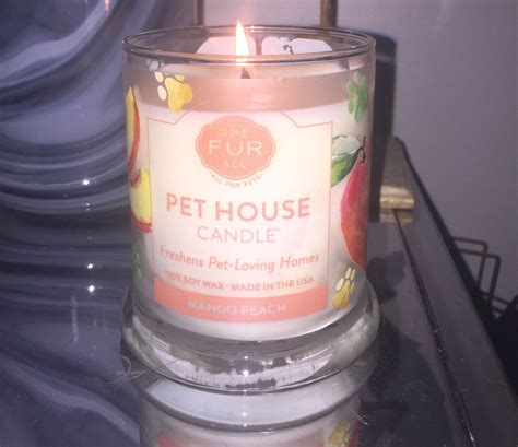 This Candle Will Tell All The Weird Smells In Your House To GTFO