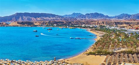 132 hotel establishments in Sharm El-Sheikh obtained green practices ...