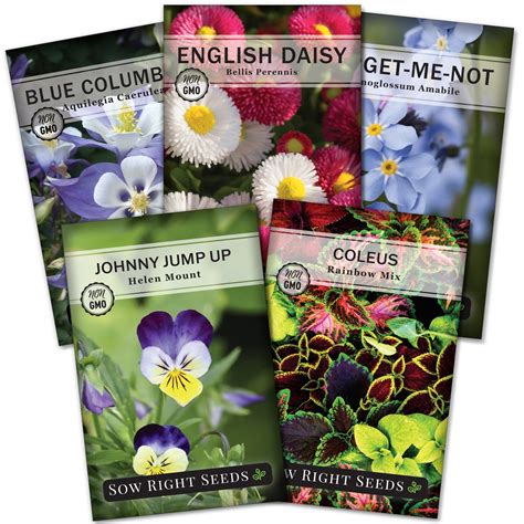 Part Shade Flower Seed Collection - Plant a Low Light Garden – Sow ...