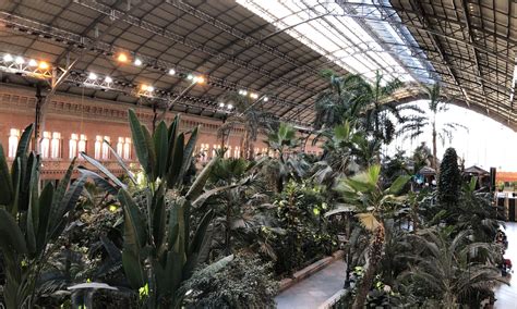 Atocha / Railway station with palm garden, Madrid ⋆ The Passenger