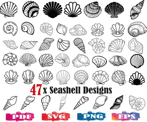 Seashell SVG / Seashells PNG / Seashell Silhouette / Sea Shell - Etsy