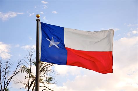 The Hidden World of Texans Who Constantly Use the Wrong Emoji Flag ...