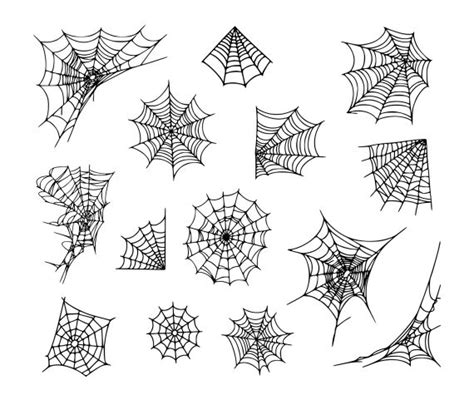 Spider Web Tattoo Vector (EPS, SVG) | OnlyGFX.com