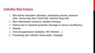 Cellulitis - Treatment | PPT