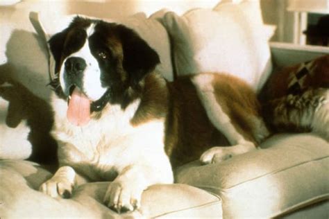 Beethoven | Top 10 Dog Movies | TIME.com