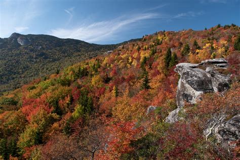 Asheville 2020 Fall Color Report & Forecast | Scenic Views | Asheville, NC's Official Travel Site