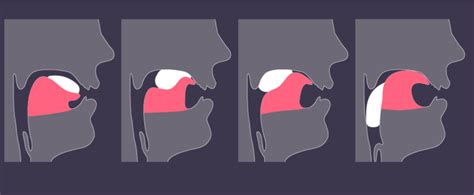 How Tongue Chewing Can Help With Your Mewing Technique | Mewing.coach