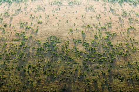 Great Green Wall: How funding can help Sahel fight desertification again