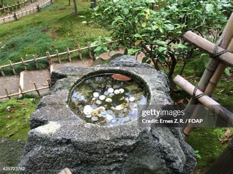 95 Wishing Well Coins Stock Photos, High-Res Pictures, and Images ...