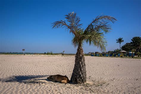 Best beaches in The Gambia for your next coastal retreat - Lonely Planet