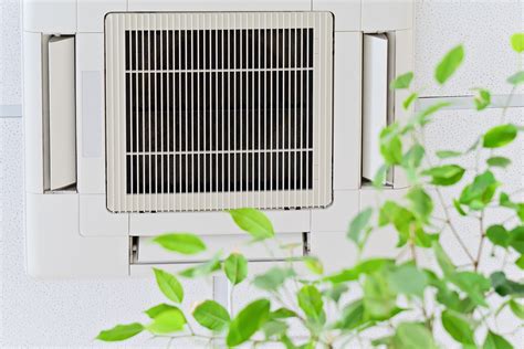 The Quick Guide to Air Purification Systems | Rod Miller HVAC