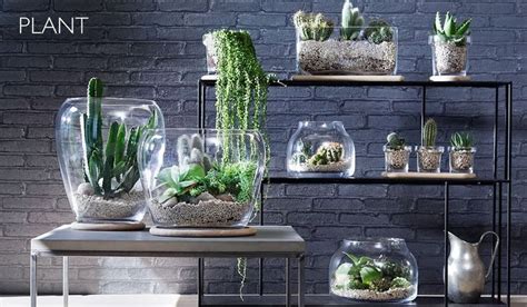 Plant Collection | Handmade Glass Plant Pots | LSA International ...
