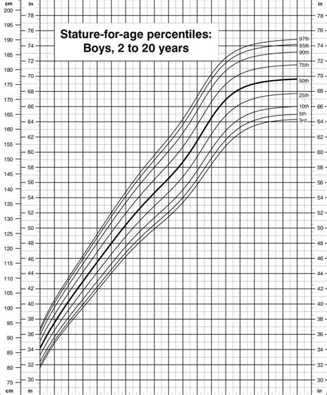 Male height percentile chart - JardinMirrin