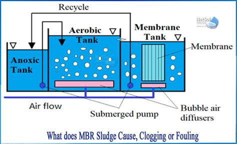 What does MBR sludge cause