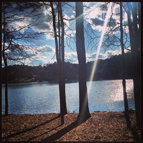 The beautiful Peachtree City Lake in Georgia. | Peachtree city, The great outdoors, Window views