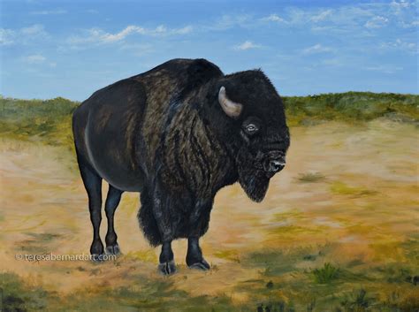 The American Bison - Teresa Bernard Oil Paintings