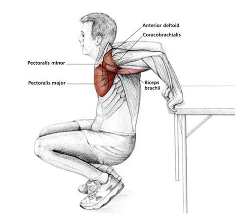 Reverse chest stretch | Ejercicios de estiramiento, Ejercicios de yoga, Estiramientos de yoga