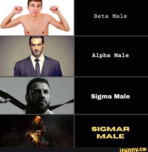 Beta Male Alpha Male Sigma Male SIGMAR MALE - iFunny