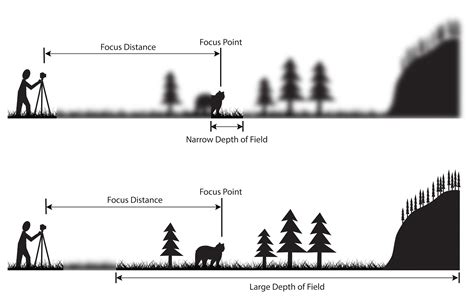 What Is The Main Features Of Scanning Lens, And What’s The Application ...