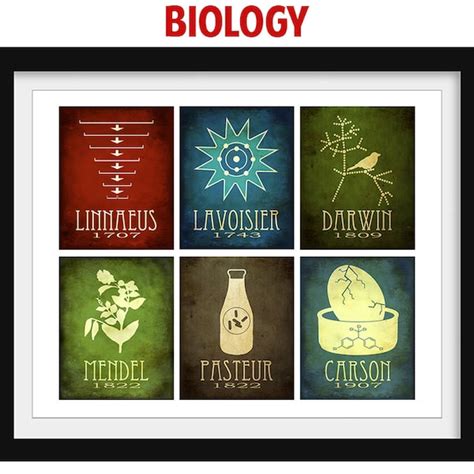 Biology Poster - Etsy