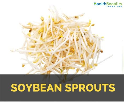 Soybean sprouts Fact, Health Benefits and Nutritional Value