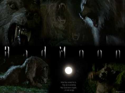 Bad Moon - Werewolves Wallpaper (24671547) - Fanpop