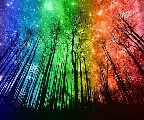 Rainbow Forest Wallpapers - Top Free Rainbow Forest Backgrounds - WallpaperAccess