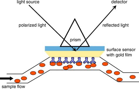 Surface Plasmon Resonance: Principles, Instrumentation, and Applications