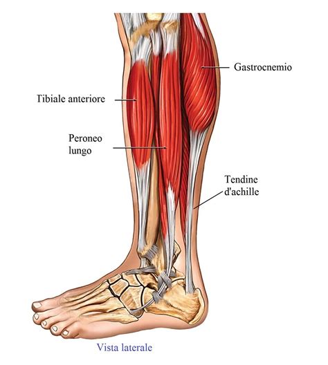 Terapia per la tendinite d'achille, riabilitazione, taping ed esercizi