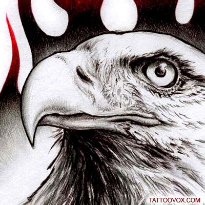 Flamming Eagle head tattoo design - TattooVox Professional Tattoo ...