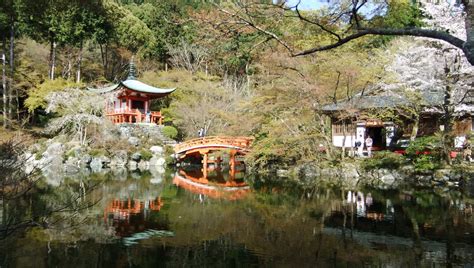 JD CREATIONS: Cherry Blossoms in Kyoto: Daigoji Temple & Nijo Castle