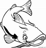Catfish Coloring Page sketch template