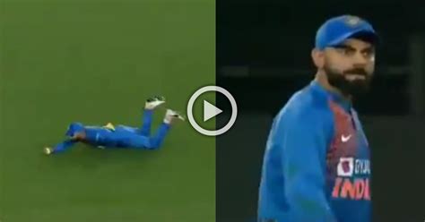 WATCH - Virat Kohli Pulled Off Stunning Catches In Auckland