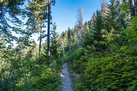 How to Hike the Crypt Lake Trail in Waterton National Park