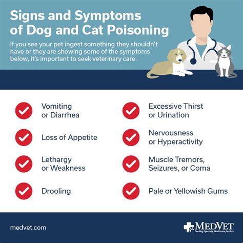 Signs and Symptoms of Dog and Cat Poisoning | Veterinary care, Pet ...