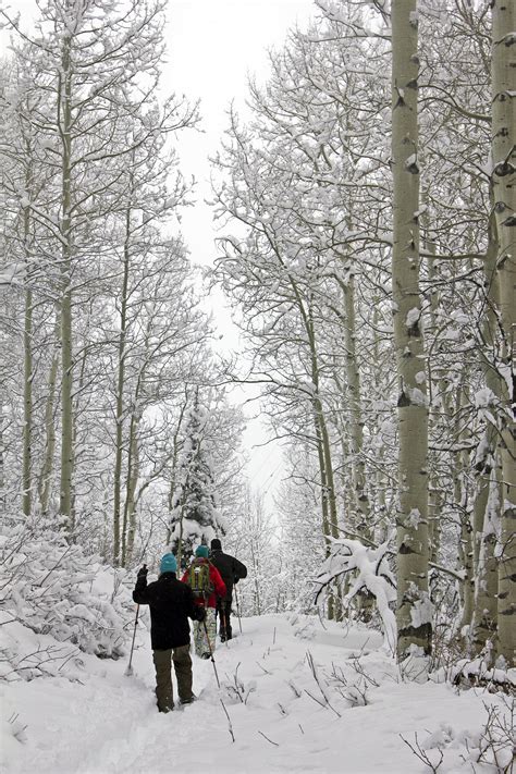 Snowshoeing, a Naturalist’s Perspective | All Seasons Adventures